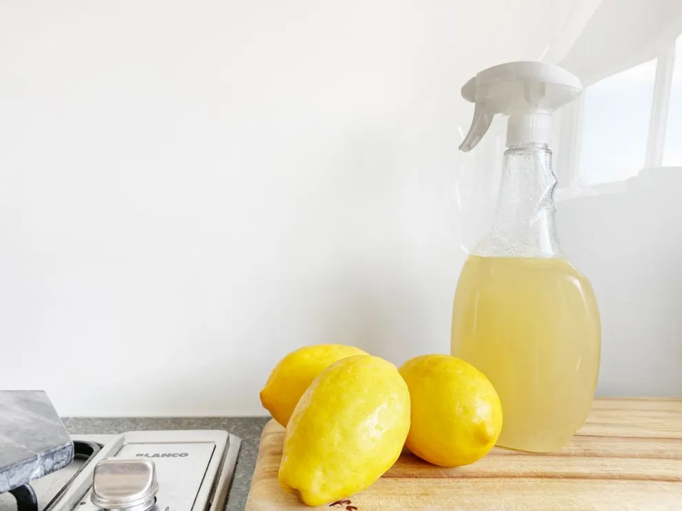 Vinagre blanco y sus diversos fines en el hogar la cocina, limpieza y la salud. Precious Plastic Melbourne 