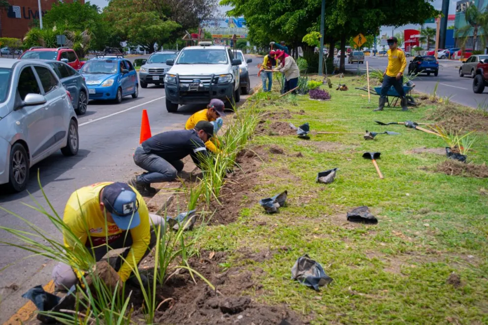 Empleados de aseo y limpia realizando jornada de limpieza y plantación de vegetación.