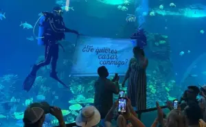 Giovannie y Morgan se comprometen en el Gran Acuario de Mazatlán