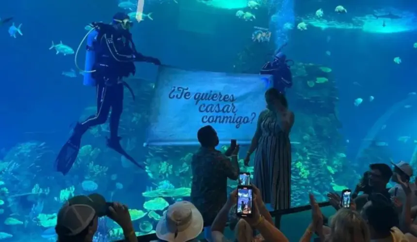 Giovannie y Morgan se comprometen en el Gran Acuario de Mazatlán