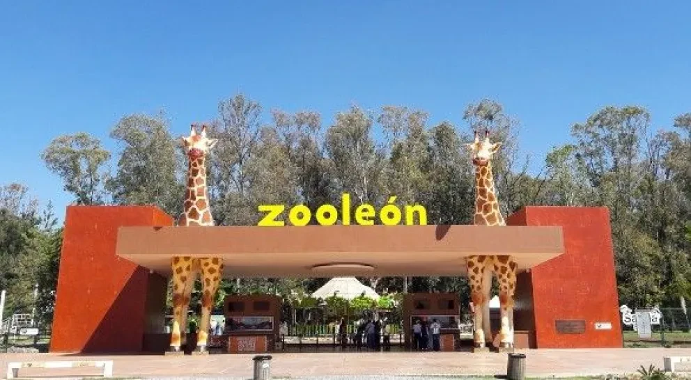 Zoológico de León, Guanajuato invita a su primer concurso de fotografía 2023