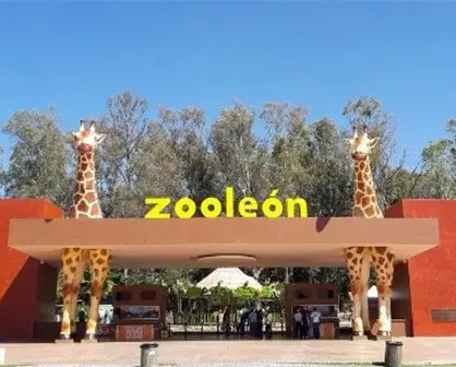 Zoológico de León, Guanajuato invita a su primer concurso de fotografía 2023