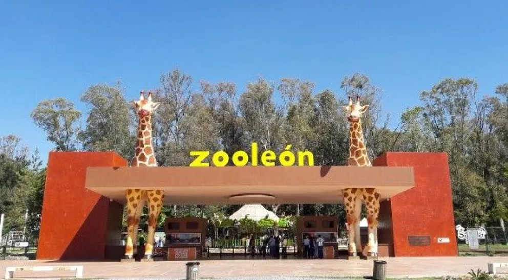 Zoológico de León, Guanajuato invita a su primer concurso de fotografía 2023