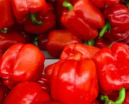 Crecen 17% las exportaciones de la industria alimentaria de Guanajuato