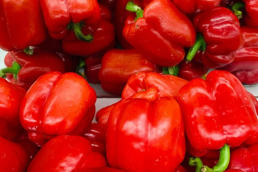 Crecen 17% las exportaciones de la industria alimentaria de Guanajuato