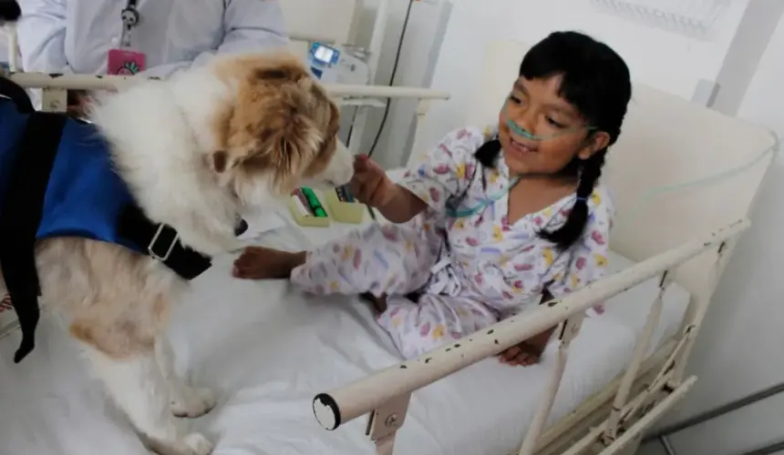 Terapias asistidas con perros en el Hospital Pediátrico Coyoacán, en la Ciudad de México. Foto: Cortesía