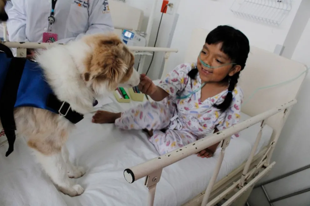 Terapias asistidas con perros en el Hospital Pediátrico Coyoacán, en la Ciudad de México. Foto: Cortesía