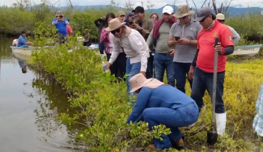 Participantes del programa de reforestación en Ojo de Agua de Palmillas, en Escuinapa. Foto: Cortesía