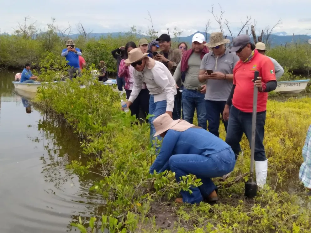 Participantes del programa de reforestación en Ojo de Agua de Palmillas, en Escuinapa. Foto: Cortesía