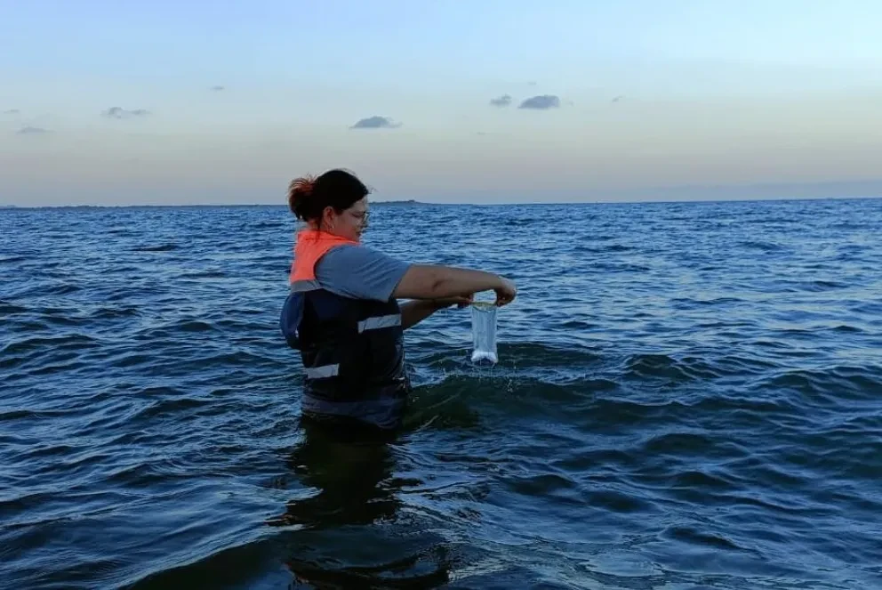 Todas las playas de Sinaloa son aptas para bañarse: COEPRISS.