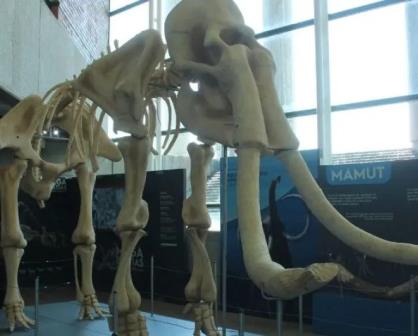 Sorpréndete con la exposición "Mega Bestias" en Centro de Ciencias Explora en Guanajuato