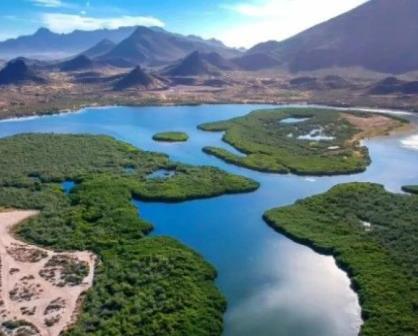 Estero El Soldado en San Carlos, Sonora: Un paraíso natural