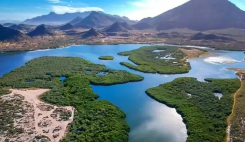 Estero El Soldado en San Carlos, Sonora: Un paraíso natural