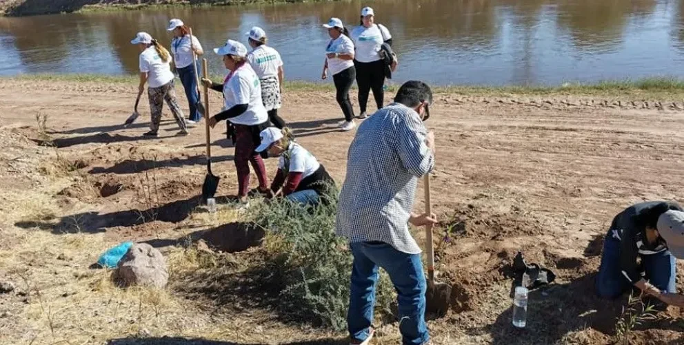 Fundación Ambiental Valle del Yaqui: Protegiendo y preservando nuestro entorno natural