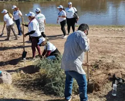 Fundación Ambiental Valle del Yaqui: Protegiendo y preservando nuestro entorno natural