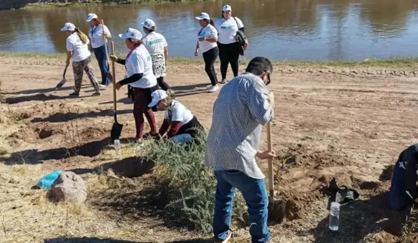 Fundación Ambiental Valle del Yaqui: Protegiendo y preservando nuestro entorno natural