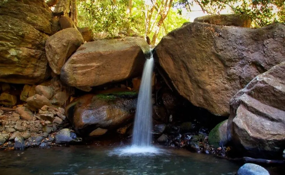 Sierra de Quila celebra 41 años de conservación con el avistamiento de 2 jaguares