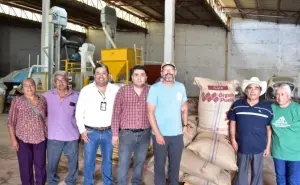 El café Kafiztle, orgullo de Puebla, consiguió exportar su primer lote de 3 toneladas a Ohio, Estados Unidos