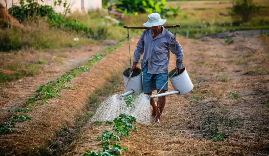 Puebla apoyará a agricultores con ventanillas para solicitar apoyos al campo