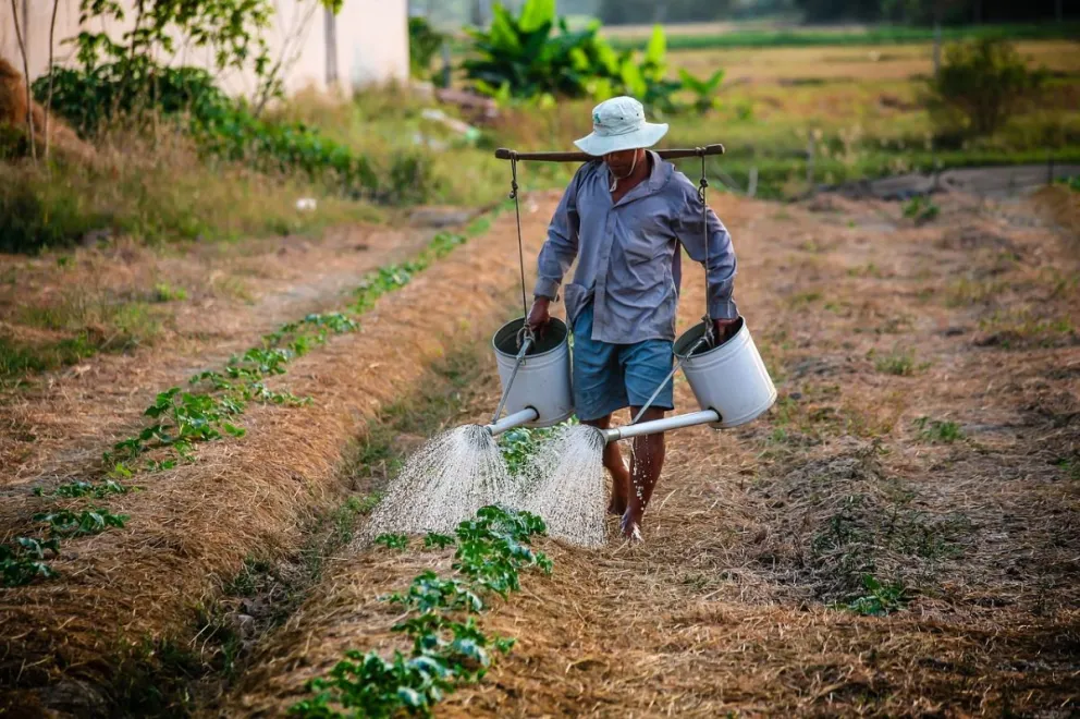 Puebla apoyará a agricultores con ventanillas para solicitar apoyos al campo