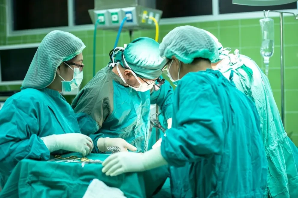 ¡Logro médico! Trasplantan riñón de un cerdo a un humano con éxito