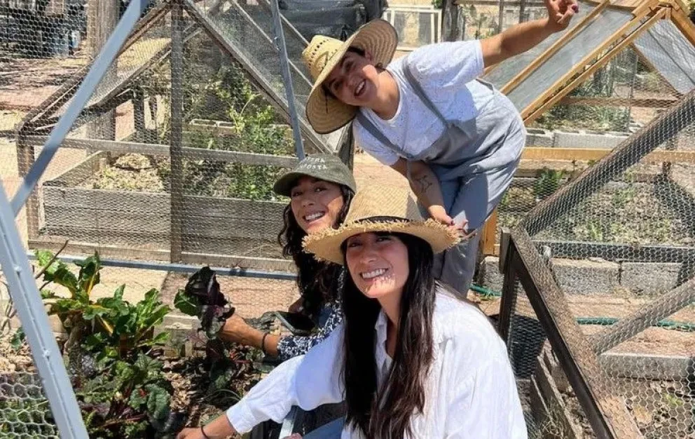 ¡Transformando León: Nostra Composta y la revolución verde urbana!