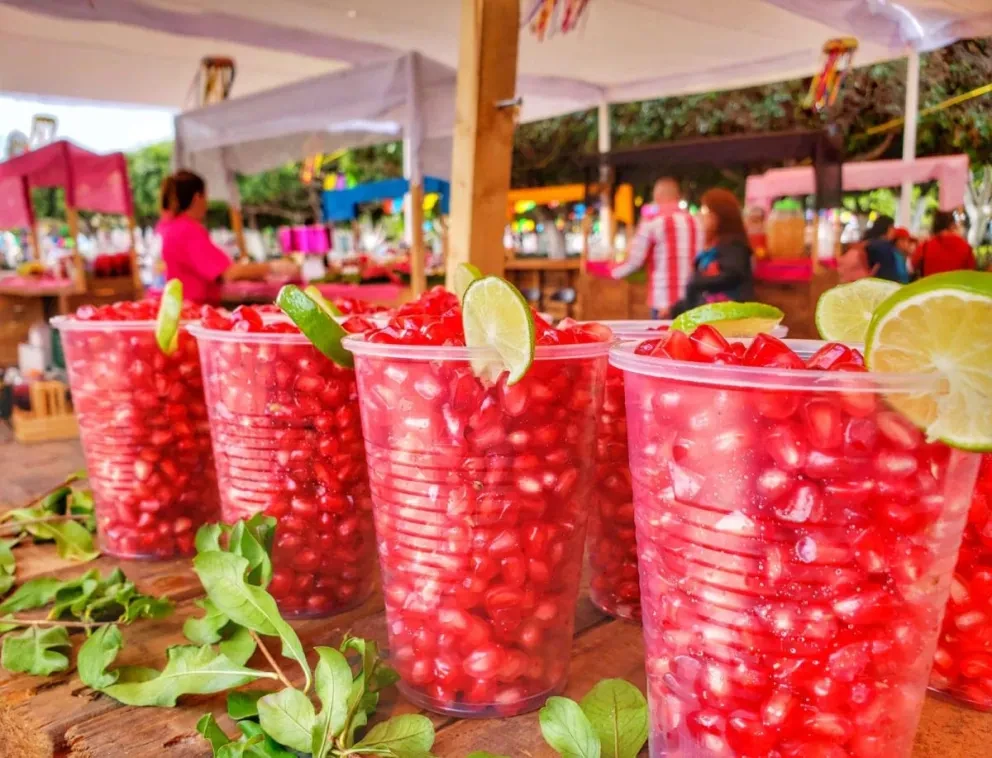 Feria de la Granada en Apaseo el Alto, en Querétaro. Foto: Cortesía