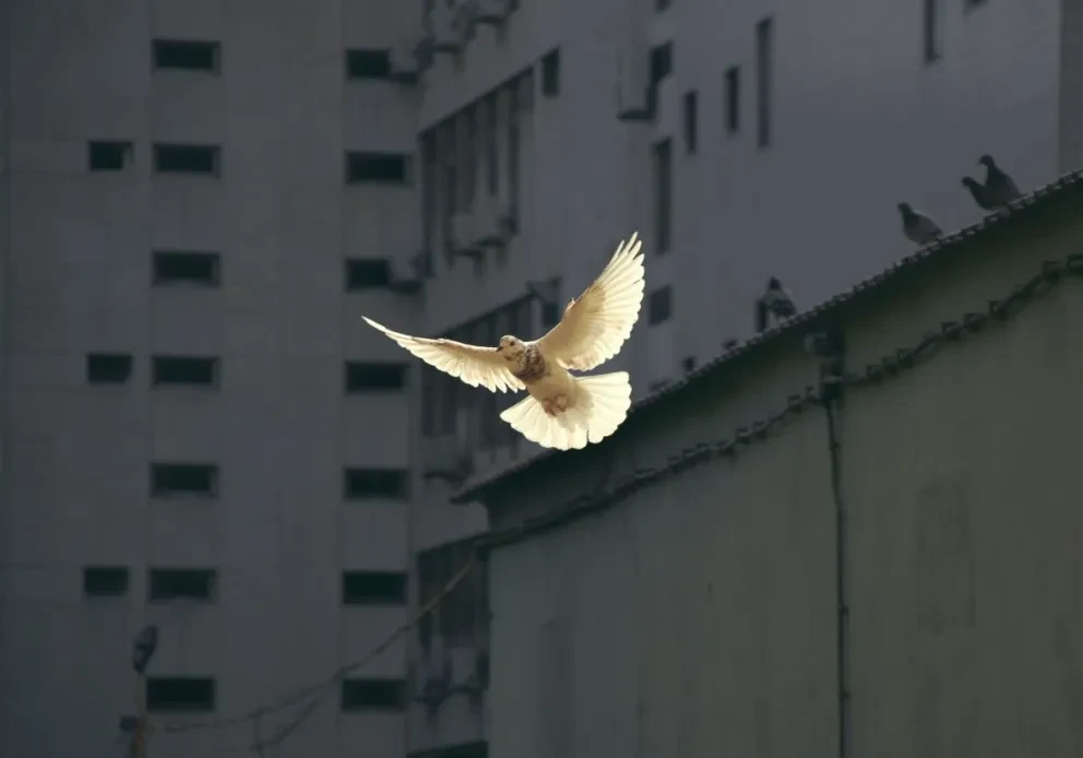 ¿Cuáles son las ciudades más seguras, con menos crimen, menos delitos, menos asesinatos? Foto: Sunguk Kim