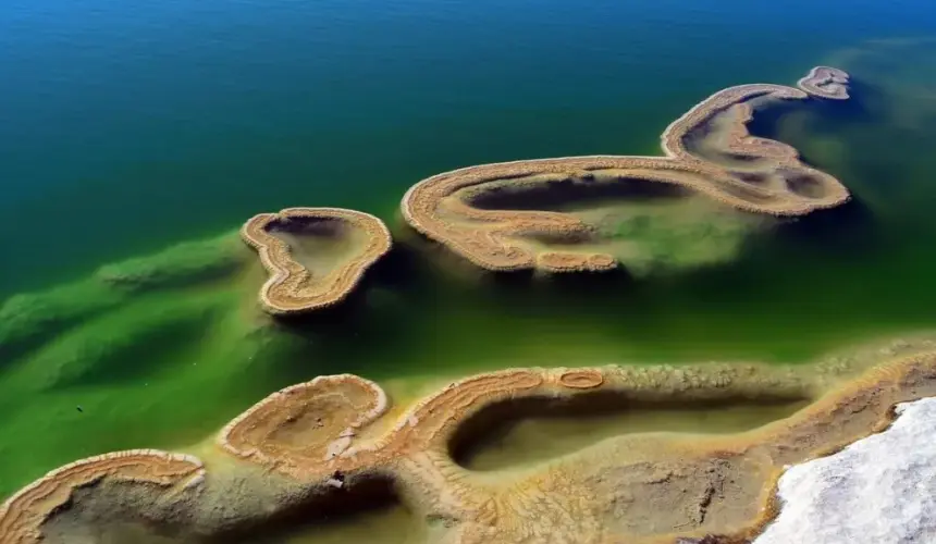 ¿Cómo llegar a Hierve el Agua en Oaxaca desde CDMX? Opciones de transporte, rutas y tiempos