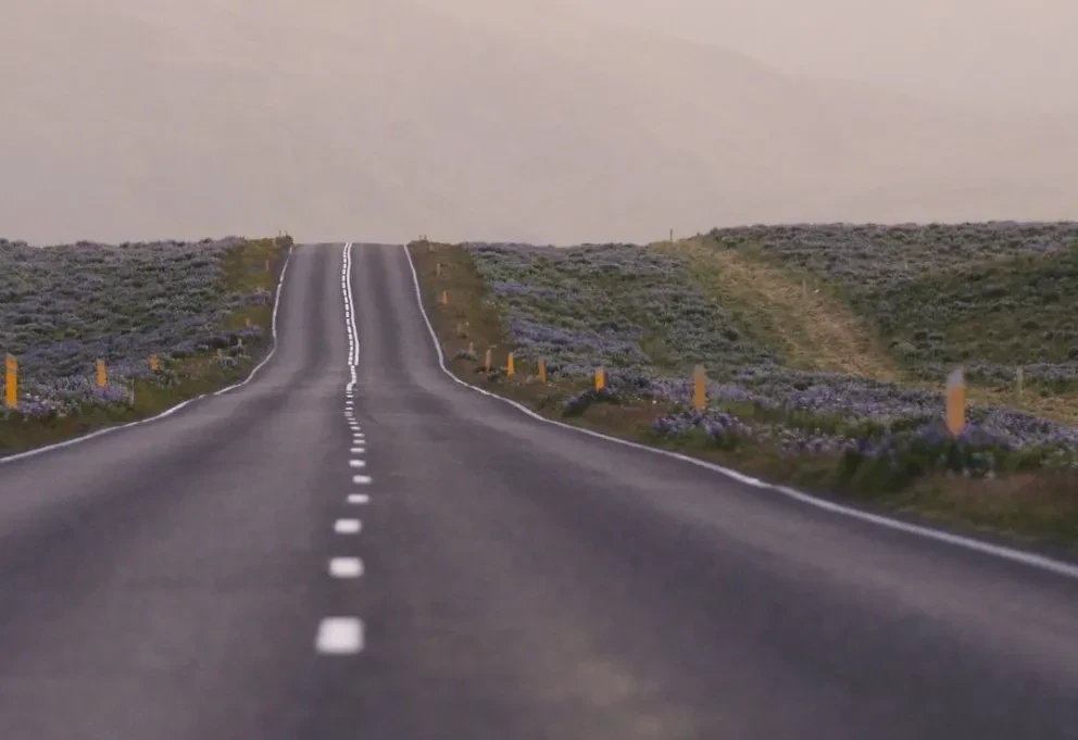 Estados Unidos retira prohibición a sus connacionales para transitar por la carretera 544 de Jalisco. Foto: Matt Hardy