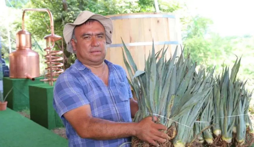 Entregan plantas de agave a productores de mezcal en Puebla. Foto: Cortesía