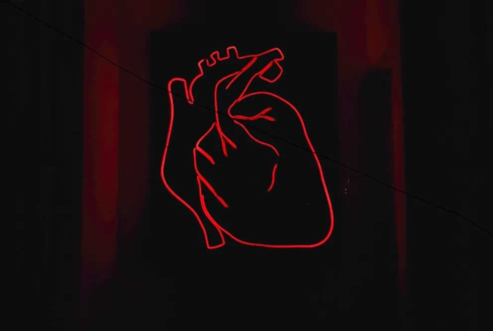 Salvando Corazones. La innovación médica que puede predecir ataques cardíacos. Foto: Alexandru Acea
