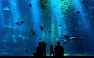 La ciudad de México se prepara para el gran debut del acuario Tepeyac ¿Cuándo abrirá sus puertas?