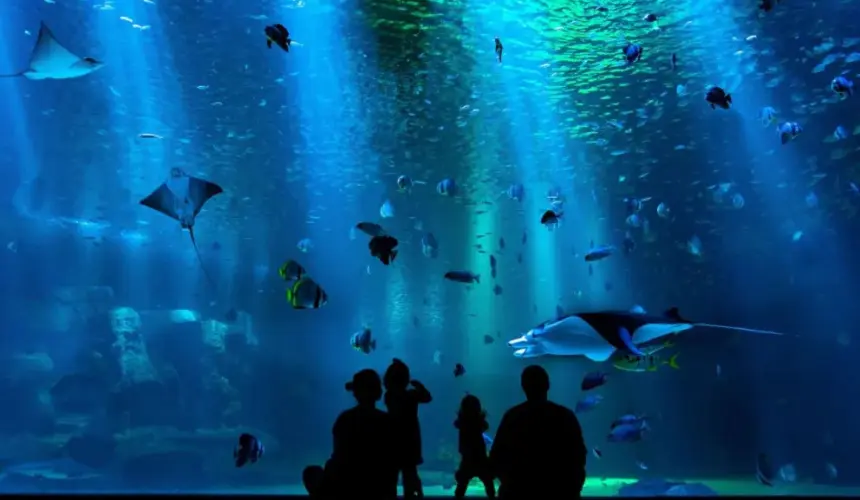 La ciudad de México se prepara para el gran debut del acuario Tepeyac ¿Cuándo abrirá sus puertas?. Foto temática.  Tim B Motivv 