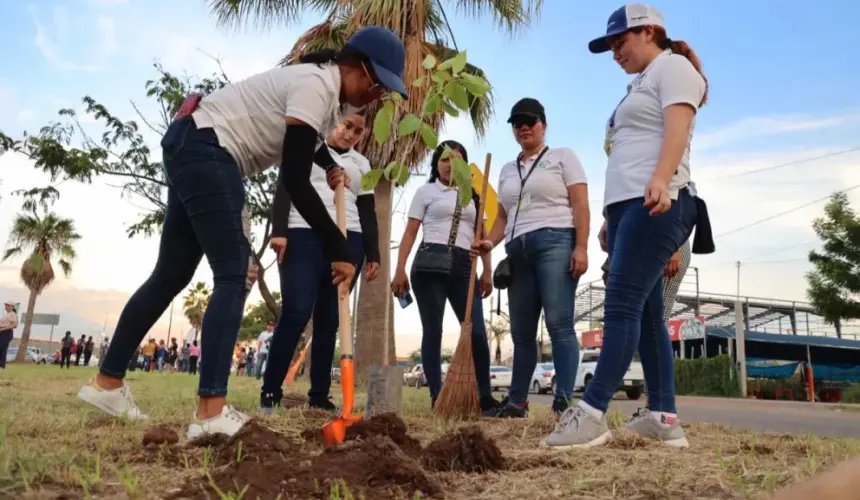 En el parque Las Torres, en Culiacán, se plantaron 40 árboles de diferentes especies que darán sombra y limpian el aire de la zona.