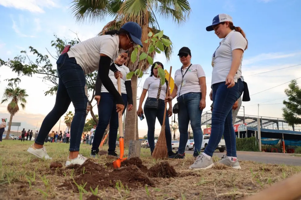 En el parque Las Torres, en Culiacán, se plantaron 40 árboles de diferentes especies que darán sombra y limpian el aire de la zona.
