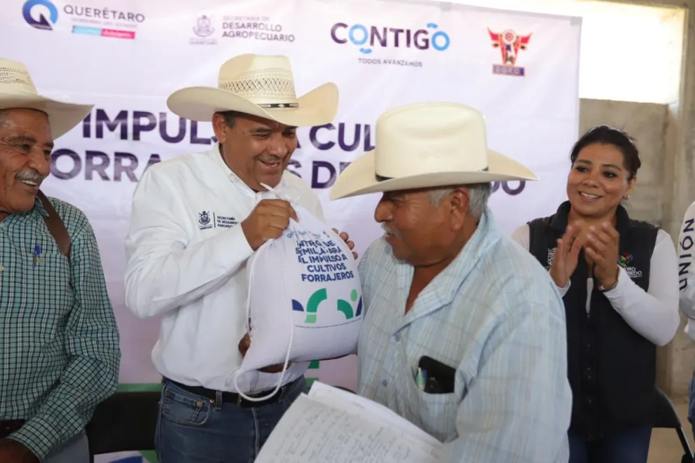 Entrega de semilla para impulsar cultivos forrajeros en Querétaro. Foto: Cortesía