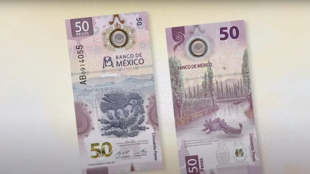¿Lo tienes? Billete de 50 pesos mexicanos del ajolote se vende hasta en 800 mil pesos