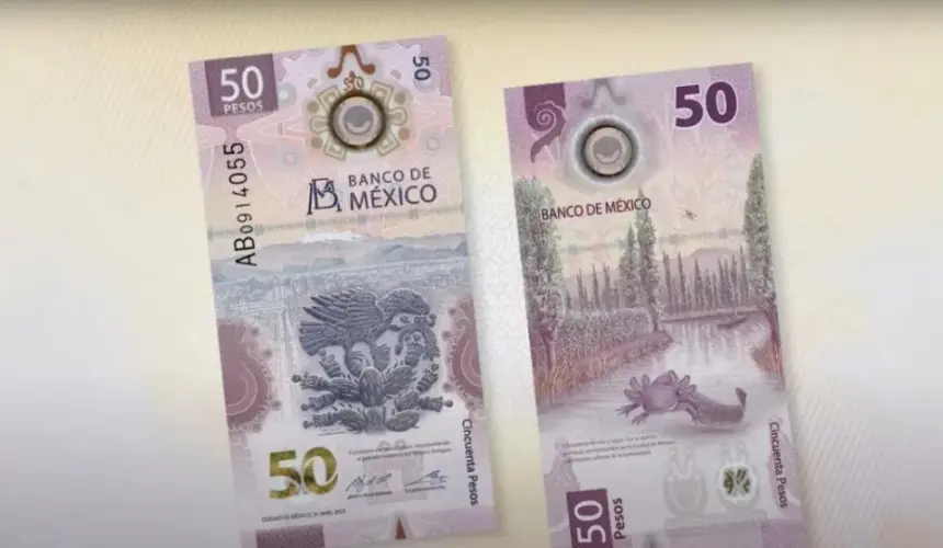 ¿Lo tienes? Billete de 50 pesos mexicanos del ajolote se vende hasta en 800 mil pesos