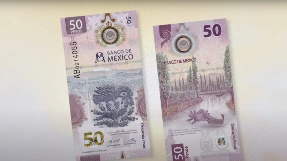 Desde su lanzamiento, el billete de ajolote se convirtió en uno de los más populares en México. Foto: Banxico