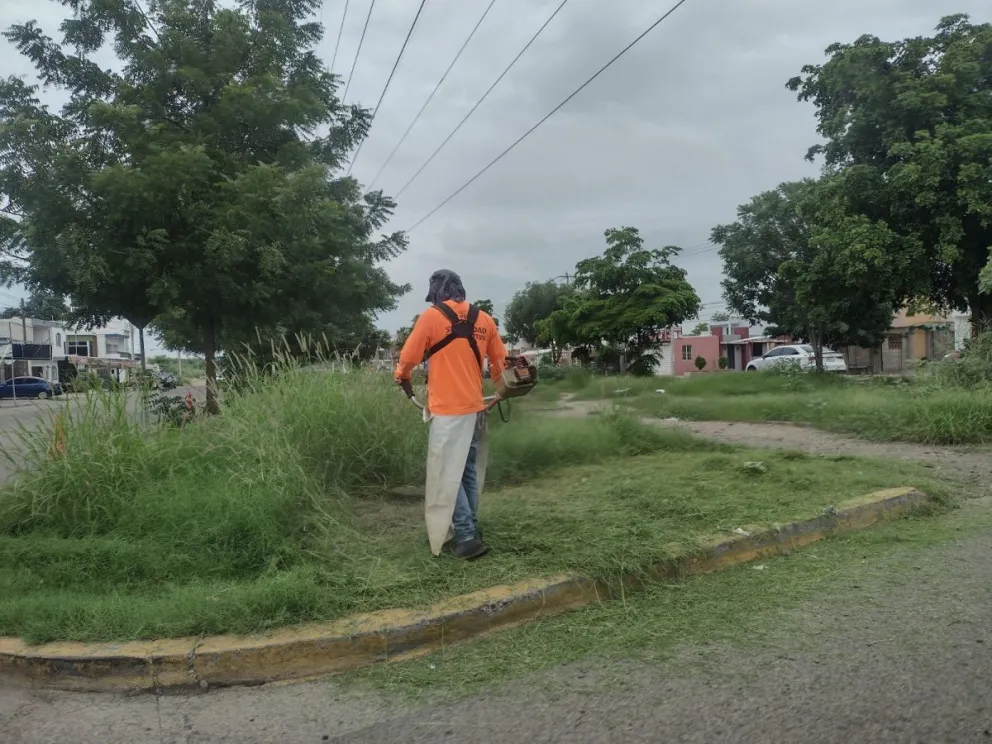 Desmontan áreas comunes en el boulevard Las Torres