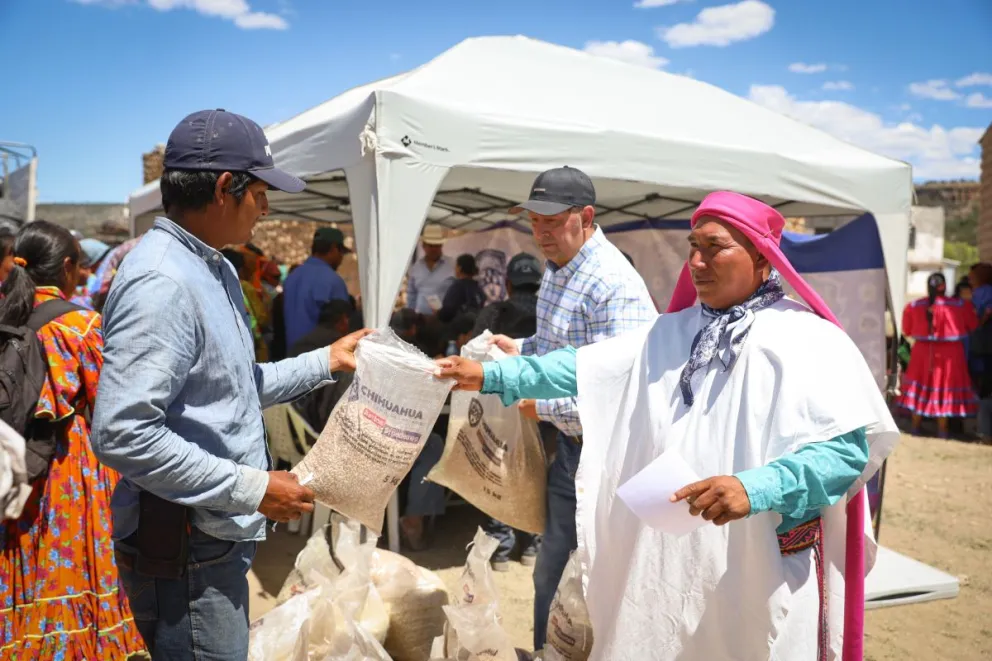 Llevan apoyos a familias de pueblo rarámuri, en Chihuahua. Foto: Cortesía