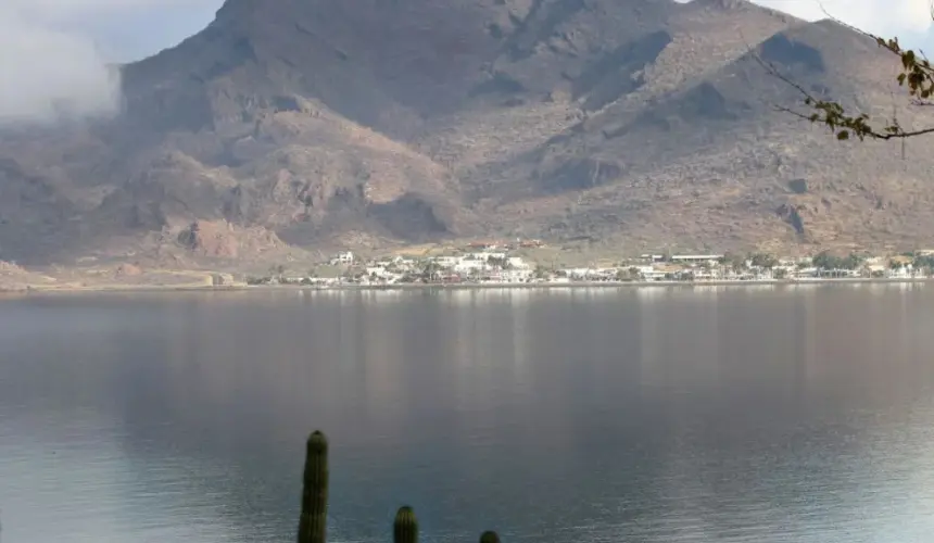 Descubre las famosas Perlas del Mar de Cortez Tesoros de la naturaleza en el estado de Sonora.