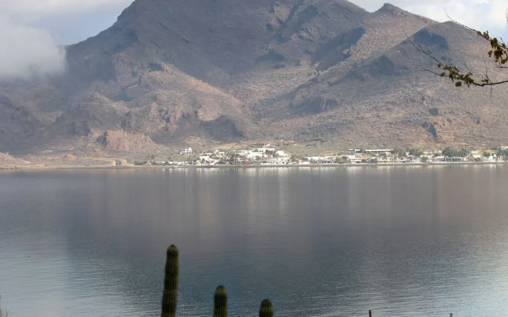 Descubre las famosas Perlas del Mar de Cortez Tesoros de la naturaleza en el estado de Sonora.