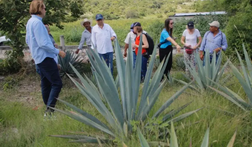 Alemanes interesados en conocer el trabajo que realizan los mezcaleros de Puebla. Foto: Cortesía