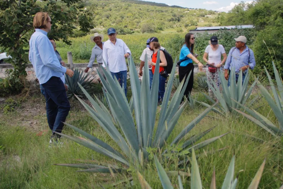 Alemanes interesados en conocer el trabajo que realizan los mezcaleros de Puebla. Foto: Cortesía