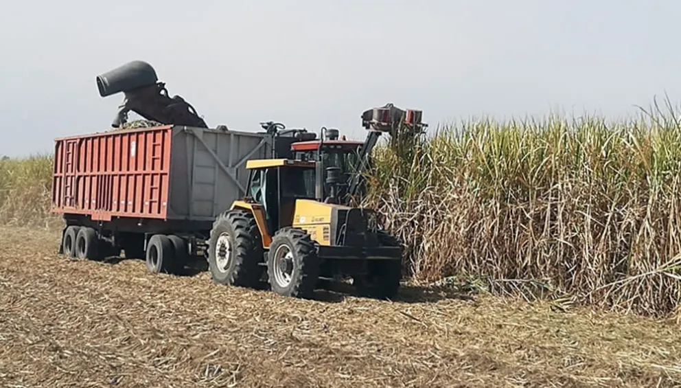 Mantiene México superávit comercial de azúcar de caña. Foto: Cortesía