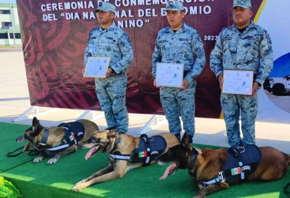 La Guardia Nacional conmemora el Día Nacional del Binomio Canino por primera vez este 2023. Foto: GN