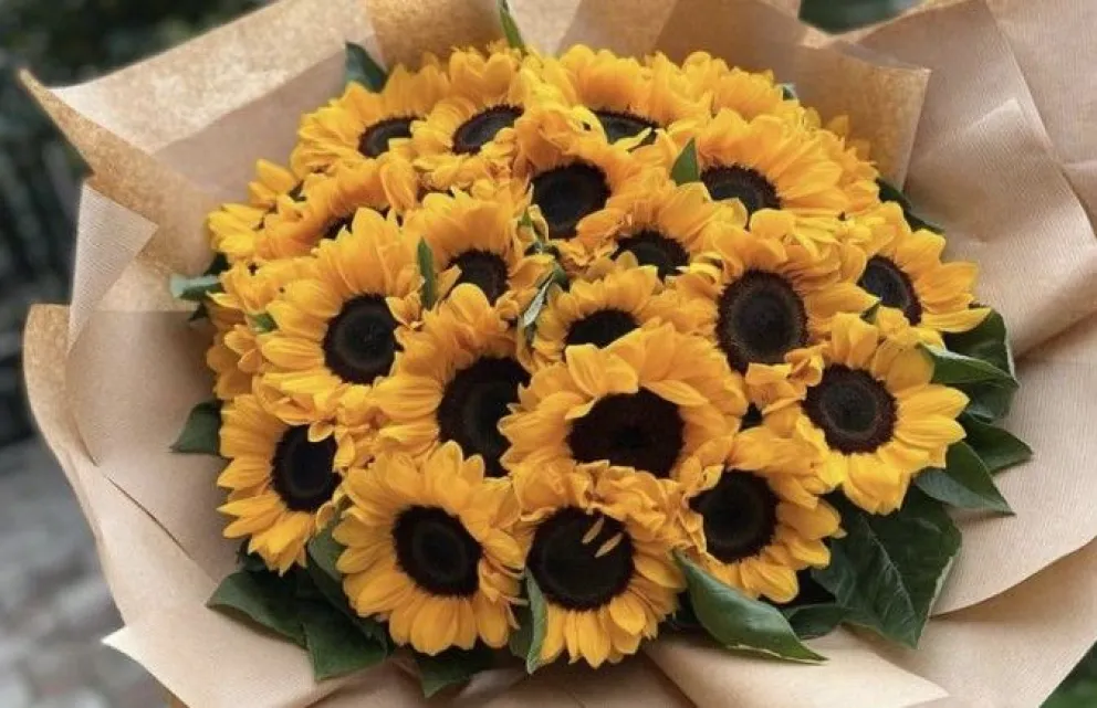 Dónde comprar flores amarillas en la capital del Estado de México, Toluca