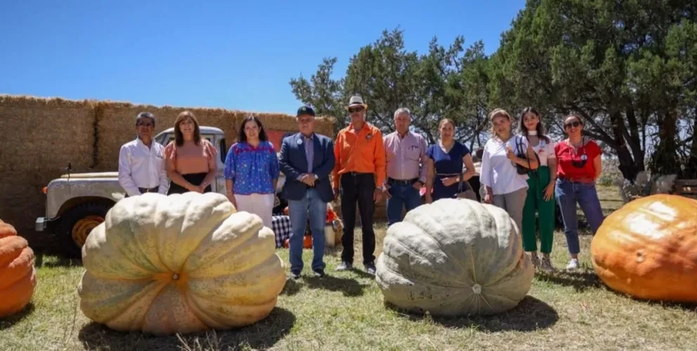 Invitan al Festival de la Calabaza en el municipio de Cuauhtémoc. Foto: Cortesía